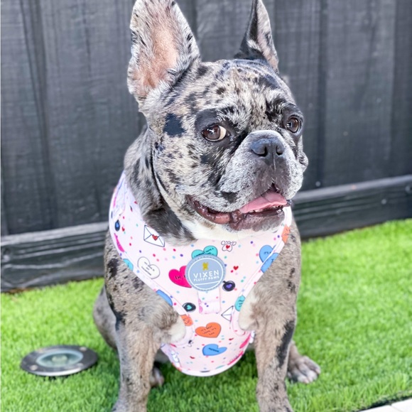 Adjustable Dog Harness Valentine - Picture 3 of 10